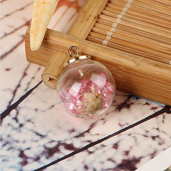 Transparent Glass Globe Pendants, with Rhinestones & Dried Flower inside and Plastic CCB Pendant Bails, Ball, White, Light Rose, 16mm, Hole: 2mm