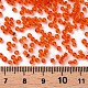 Glass Seed Beads(X1-SEED-A004-2mm-9B)-3