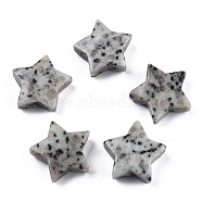 Natural Sesame Jasper Agate Star Shaped Worry Stones, Pocket Stone for Witchcraft Meditation Balancing, 30x31x10mm(G-T132-002A-14)