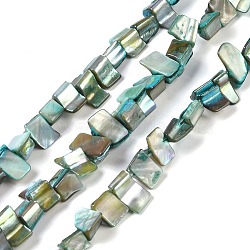 Dyed Natural Freshwater Shell Beads Strands, Nuggets, Light Sea Green, 7.5~9x9.5~15x5~9mm, Hole: 0.9mm, about 42~50pcs/strand, 14.45''~14.76''(36.7~37.5cm)(SHEL-P016-01C)