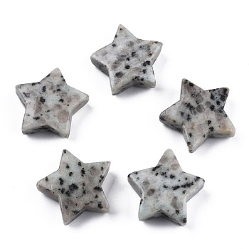 Natural Sesame Jasper Agate Star Shaped Worry Stones, Pocket Stone for Witchcraft Meditation Balancing, 30x31x10mm