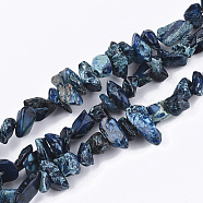 Natural Imperial Jasper Beads Strands, Dyed, Chips, Marine Blue, 4~18x4~15x1~10mm, Hole: 1mm, about 88~100pcs/strand, 15.3 inch~15.7 inch(G-S355-06B)