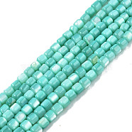 Natural Freshwater Shell Beads Strands, Dyed, Column, Turquoise, 3.5x3.5mm, Hole: 0.8mm, about 110~113pcs/strand, 14.69 inch~15.08 inch(37.3~38.3cm)(SHEL-N003-33-A04)