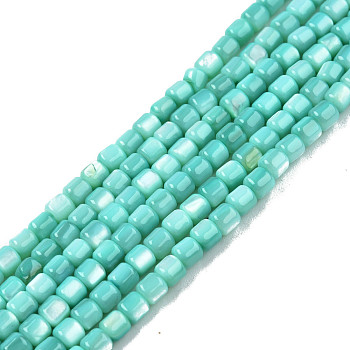 Natural Freshwater Shell Beads Strands, Dyed, Column, Turquoise, 3.5x3.5mm, Hole: 0.8mm, about 110~113pcs/strand, 14.69 inch~15.08 inch(37.3~38.3cm)