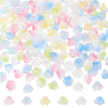 6 Farben handgefertigte Lampwork-Perlen(LAMP-AN0001-01)-1