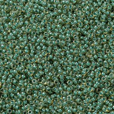 MIYUKI Round Rocailles Beads(X-SEED-G009-RR0374)-3