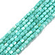 Natural Freshwater Shell Beads Strands(SHEL-N003-33-A04)-1