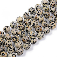 Natural Dalmatian Jasper Beads Strands, Round, Faceted, 7~8x8mm, Hole: 1.2mm, about 37pcs/strand, 14.56~14.96 inch(37~38cm)(G-R482-16-8mm)
