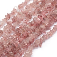 Natural Strawberry Quartz Beads Strands, Chip, 5~8mm, Hole: 1mm, about 16 inch(40.64cm)(G-P332-53)