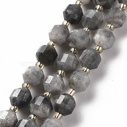 Natural Labradorite Beads Strands, Barrel, Faceted, 5.5x4~5mm, Hole: 0.6mm, about 55pcs/strand, 14.96 inch(38cm)(X-G-S362-085A)