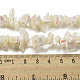 Natural Trochus Shell Beads Strands(SSHEL-H072-04)-4