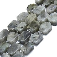Natural Labradorite Beads Strands, Rectangle, 15~17x10~13x5~7mm, Hole: 1mm, about 22pcs/strand, 15.94 inch(40.5cm)(G-K245-J21-01)