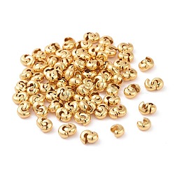 304 Stainless Steel Crimp Beads Covers, Golden, 5x4.5x3mm, Hole: 2mm(STAS-L215-10G-A)