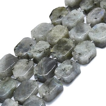 Natural Labradorite Beads Strands, Rectangle, 15~17x10~13x5~7mm, Hole: 1mm, about 22pcs/strand, 15.94 inch(40.5cm)