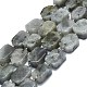 Natural Labradorite Beads Strands(G-K245-J21-01)-1