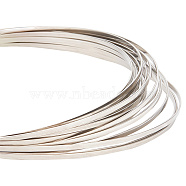 Stainless Steel Wire, Flat, Stainless Steel Color, 3x1mm, about 22.97 Feet(7m)/Roll(CHS-WH0008-02)