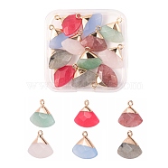 12Pcs 6 Style Electroplate Natural Gemstone Pendants, for DIY Jewelry Making, with Golden Brass Findings, Faceted, Triangle, 17~18x19~20x6~7mm, Hole: 1.8mm, 2pcs/style(G-LS0002-01)
