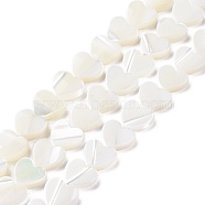 Natural Trochus Shell Beads Strands, Heart, White, 8.5x8.5x2.5mm, Hole: 0.7mm, about 52~53pcs/strand, 15.71''(39.9cm)(SSHEL-H070-06B)