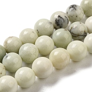 Natural Dendritic Jasper Beads Strands, Round, 8~8.5mm, Hole: 1.5mm, about 46pcs/strand, 15.31''(38.9cm)(G-H298-A15-03)