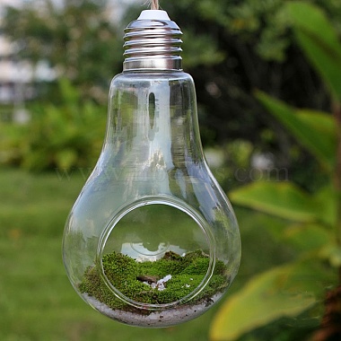 Clear Glass Plant Supports