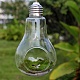 Bulb Shape Hanging Glass Planter(PW-WG30992-01)-1