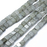 Natural Labradorite Beads Strands, Cube, 3~4.5x3~4.5x3~5mm, Hole: 0.8~1mm, about 89~97pcs/strand, 15.1~15.5 inch(38.5~39.5cm)(G-F631-C08)