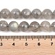 Natural Labradorite Beads Strands(G-L654-O02-8mm)-4