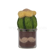 Succulent Plant Display Decoration Needle Felting Kit, with Iron Needles, Foam Chassis, Wool & Glass Cup, Mixed Color, 25~99x2~79x2~25mm(DIY-D064-07P)