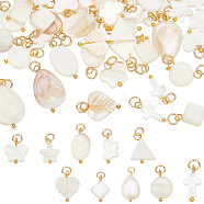 80Pcs 10 Styles Natural Freshwater Shell Pendants, Teardrop & Heart & Rhombus Charms, Mixed Shapes, with Jump Rings, Golden, 9.5~17x6.5~15x2~5mm, Hole: 2.5mm, 8pcs/style(PALLOY-AB00156)