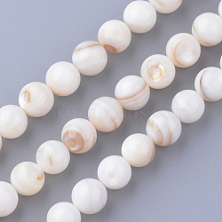 Natural Freshwater Shell Bead Strands, Round, Floral White, 7~7.5mm, Hole: 1mm, about 56pcs/strand, 15.7 inch(SHEL-S254-05)