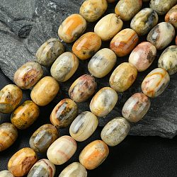 Barrel Shaped Gemstone Natural Crazy Lace Agate Beads Strands, Peru, 15x10mm, Hole: 1mm, about 25pcs/strand, 15.3 inch(G-S114-08)