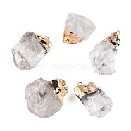 Rough Raw Natural Quartz Crystal Pendants, Rock Crystal Pendants, with Golden Tone Iron Findings, Nuggets Charm, 20~36x17~28x10~17.5mm, Hole: 1.8mm(G-Q481-109-01)