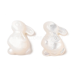 Natural White Shell Carved Cabochons, Rabbit, Seashell Color, 12x8.5x4mm(SSHEL-C012-18)