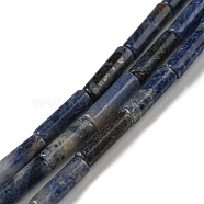 Natural Sodalite Beads Strands, Column, 10~14x4.3~4.6mm, Hole: 0.9mm, about 28pcs/strand, 14.96~15.20 inch(38~38.6cm)(G-C084-B06-01)
