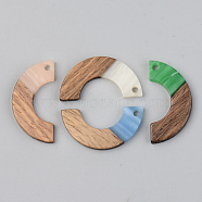 Opaque Resin & Walnut Wood Pendants, Arc, Mixed Color, 28x14x3mm, Hole: 2mm(RESI-S389-007A-C)