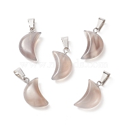 Natural Grey Agate Pendants, with Platinum Tone Brass Findings, 21~24x12~14x5~6mm, Hole: 2x7mm(G-Q369-17)