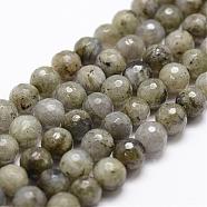Natural Labradorite Beads Strands, Faceted, Round, 8mm, Hole: 1mm, about 44pcs/strand, 14.9 inch~15.1 inch(G-D840-10-8mm)