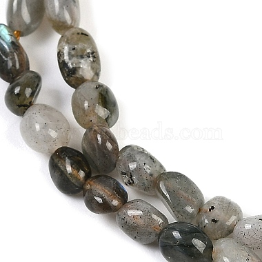 Natural Labradorite Beads Strands(G-P497-01B-03)-4