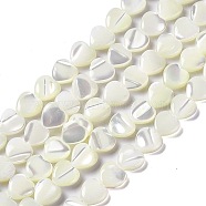 Natural Trochid Shell/Trochus Shell Beads Strands, Heart, Seashell Color, 7.5~8x7.5x3mm, Hole: 0.6mm, about 49pcs/strand, 15.08~15.16(38.3~38.5cm)(SHEL-F003-09)