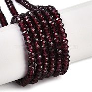 Natural Garnet Beads Strands, Faceted, Rondelle, 3x2mm, Hole: 0.8mm, about 146pcs/strand, 15.35 inch(39cm)(G-F778-A05-01)