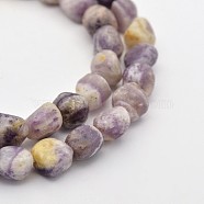 Natural Gemstone Bead Strands, Tumbled Stone, 5~7X5~7mm, Hole: 1mm, about 15.7 inch(G-P070-49)