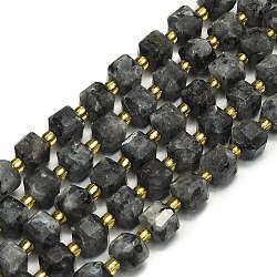 Natural Larvikite Beads Strand, Faceted, Cube, 6.5~7.5x6.5~7.5x6.5~7.5mm, Hole: 1.2mm, about 43~44pcs/strand, 15.35~15.55 inch(39~39.5cm)(G-I376-D67-01)