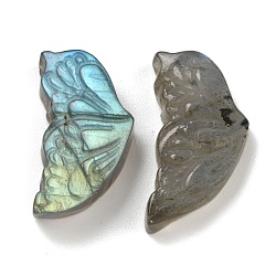 Natural Labradorite Carved Cabochons, Butterfly Wing, 20~21.5x11.5x6.5mm(G-C152-03A)