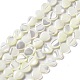 Natural Trochid Shell/Trochus Shell Beads Strands(SHEL-F003-09)-1