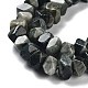 Natural Eagle Eye Stone Beads Strands(G-D091-A03)-4