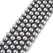 Shell Pearl Bead Strands, Rainbow Plated, Grade A, Round, Gray, 8mm, Hole: 1mm, about 51pcs/strand, 16 inch(BSHE-L025-07-8mm)