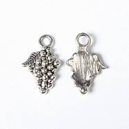 Tibetan Style Alloy Pendants, Lead Free and Cadmium Free, Antique Silver, 12mm wide, 18mm long, hole: 2.5mm(X-LF0741Y)