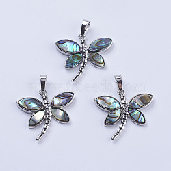 Abalone Shell/Paua Shell Pendants, with Platinum Tone Brass Bail, Dragonfly, 28x29x4mm, Hole: 5x8mm(SSHEL-L008-07P)