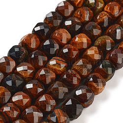 Natural Tiger Eye Beads Strands, Faceted, Cube, Sienna, 7x8x7mm, Hole: 1mm, about 47~48pcs/strand, 13.35~13.46''(33.9~34.2cm)(G-H028-A01-06)