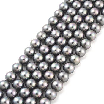 Shell Pearl Bead Strands, Rainbow Plated, Grade A, Round, Gray, 8mm, Hole: 1mm, about 51pcs/strand, 16 inch